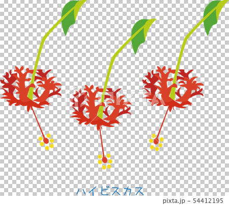 奄美花芙蓉風鈴型 54412195
