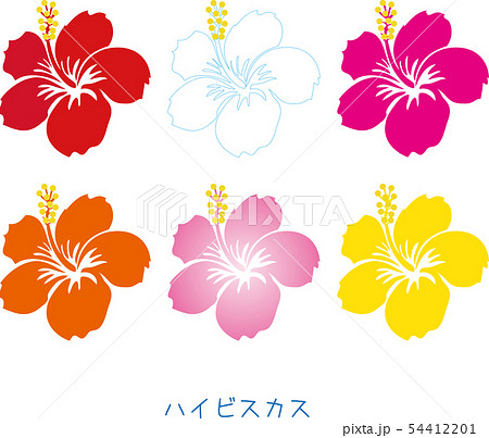 南国奄美の花ハイビスカス右向きのイラスト素材