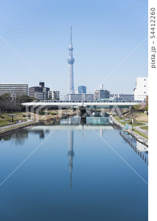旧中川から東京スカイツリー 旧中川から東京スカイツリー 54412260