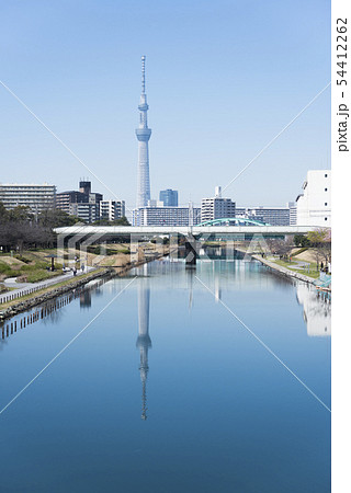 旧中川から東京スカイツリー 54412262