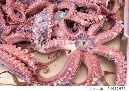 Fresh squid in the market 54412975