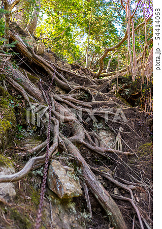 名峰、那岐山！西仙コース～東仙コース周遊 （鳥取県八頭郡智頭町河津原）※作品コメント欄に撮影位置 54414063