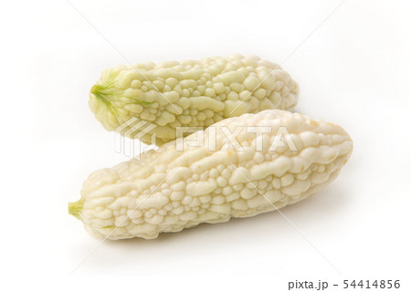 白ゴーヤー 54414856