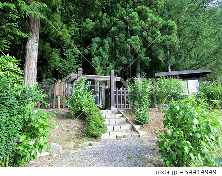 武居城（洗馬城） 54414949