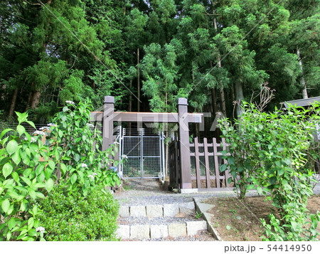 武居城（洗馬城） 54414950