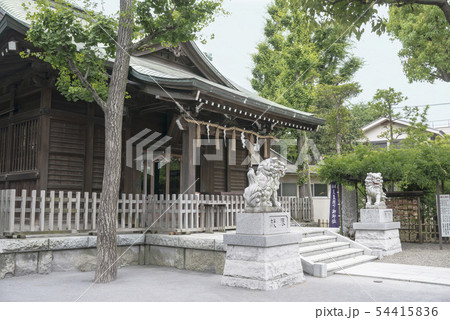日枝神社・お三の宮(横浜市南区山王町) 日枝神社・お三の宮(横浜市南区山王町) 54415836