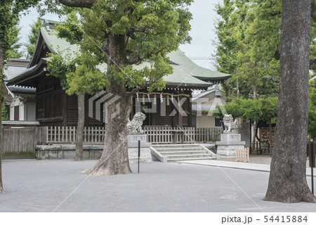 日枝神社・お三の宮(横浜市南区山王町) 日枝神社・お三の宮(横浜市南区山王町) 54415884