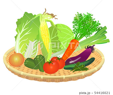 ザルに盛り合わせた色々な野菜のイラスト素材