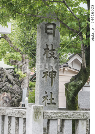 日枝神社・お三の宮（横浜市南区山王町） 54416028