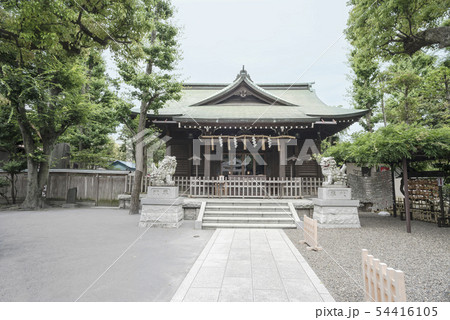 日枝神社・お三の宮（横浜市南区山王町） 54416105