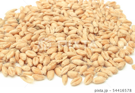 Rye or wheat grains on white background 54416578