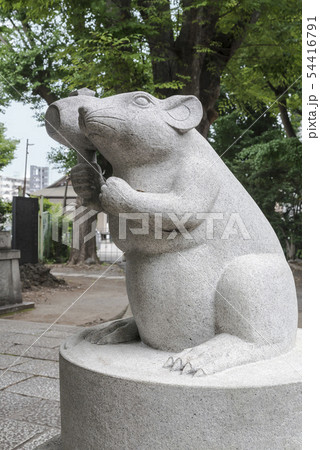 杉山神社・戸部杉山神社のメスの狛鼠（横浜市西区中央） 54416791