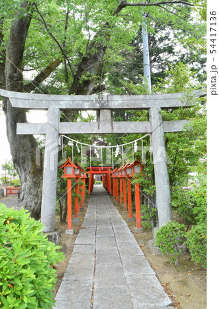 境内から見た鳥居の風景 境内から見た鳥居の風景 54417136