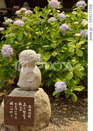 京都府福知山市の観音寺 京都府福知山市の観音寺 54417168