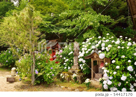 京都府福知山市の観音寺 54417170
