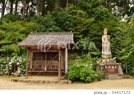 京都府福知山市の観音寺 京都府福知山市の観音寺 54417172