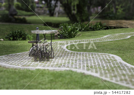 Lovely garden with footpath in summer 54417282