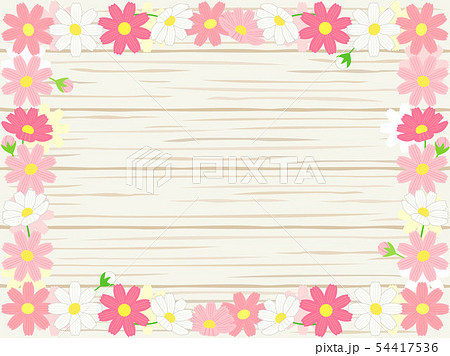 コスモス25 54417536