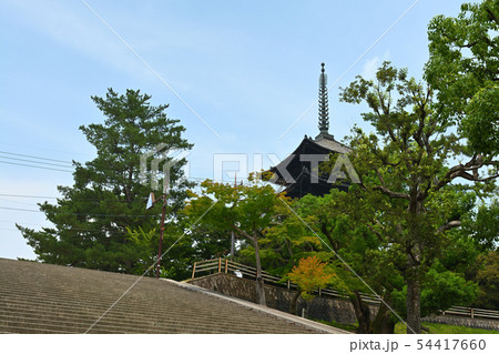 世界遺産・奈良公園 世界遺産・奈良公園 54417660