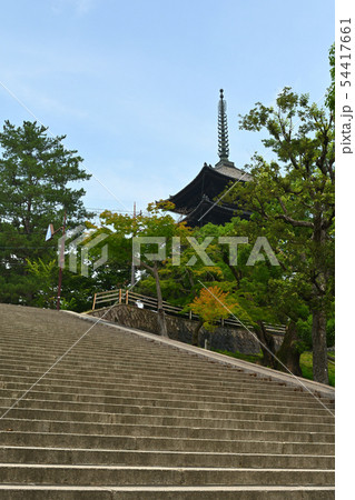 世界遺産・奈良公園 世界遺産・奈良公園 54417661