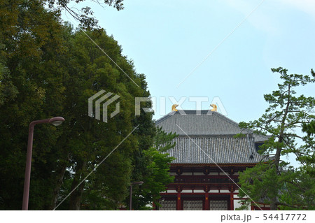 奈良・東大寺 54417772