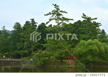 奈良・東大寺 54417773