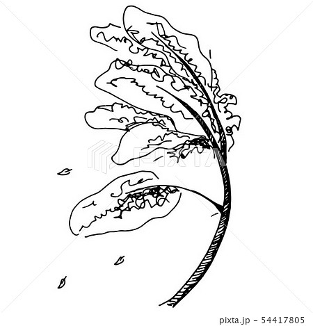 A vector pen and ink drawing of an autumn tree A vector pen and ink drawing of an autumn tree 54417805