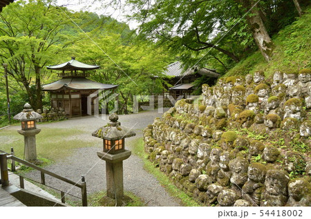 愛宕念仏寺 愛宕念仏寺 54418002