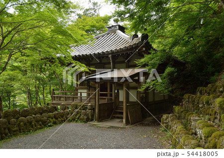 愛宕念仏寺 愛宕念仏寺 54418005