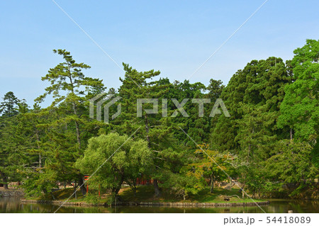 奈良・東大寺 54418089