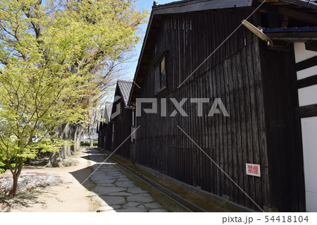 山居倉庫 ケヤキ並木 54418104