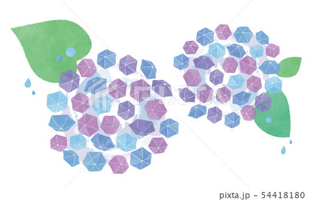 傘あじさいの花 54418180