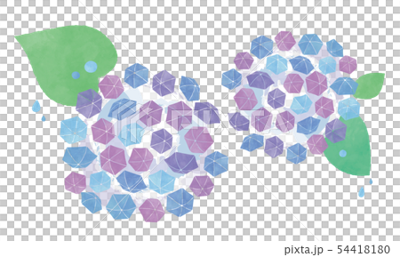 傘あじさいの花 54418180