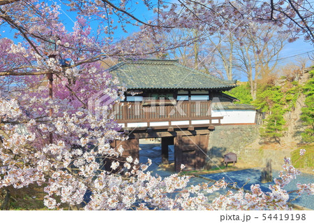 【長野県】小諸城址 三之門と満開の桜 【長野県】小諸城址 三之門と満開の桜 54419198