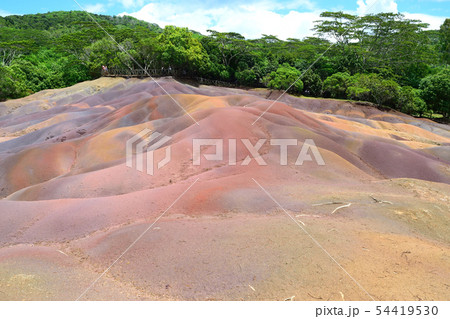 シャマレルの7色の大地 シャマレルの7色の大地 54419530