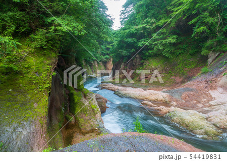 初夏の鱒飛びの滝 初夏の鱒飛びの滝 54419831