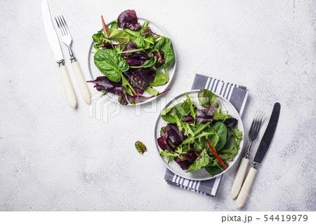 Mix of green salad leaves Mix of green salad leaves 54419979
