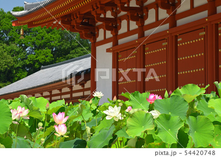 奈良・薬師寺 奈良・薬師寺 54420748