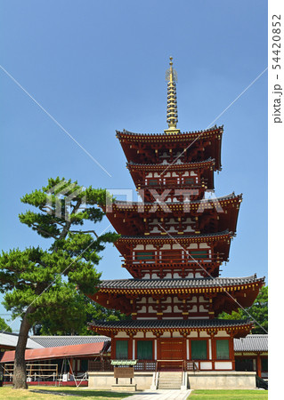 奈良・薬師寺 54420852