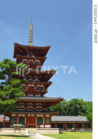 奈良・薬師寺 54420853