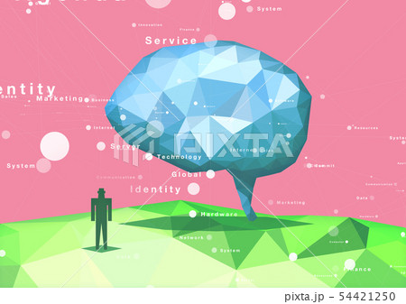 ポリゴン 54421250