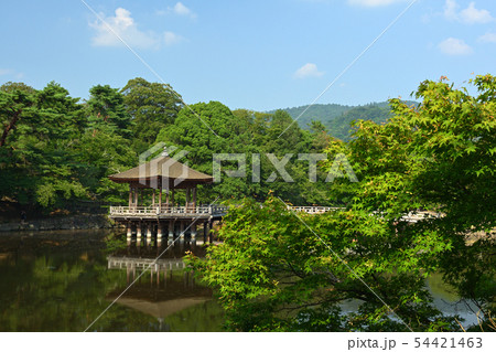 世界遺産・奈良公園 世界遺産・奈良公園 54421463