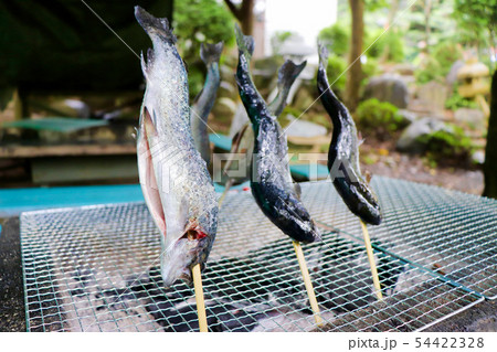 虹鱒の炭火焼き 54422328