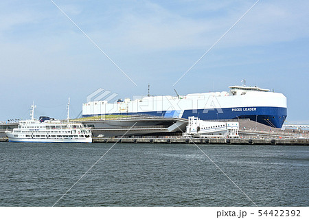 横浜 54422392