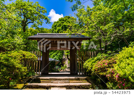 (神奈川県)浄智寺 初夏 (神奈川県)浄智寺 初夏 54423975