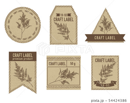 Craft labels with astilbe 54424386