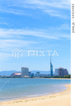 愛宕浜から見た福岡市百道一帯　鮮やか 54424465