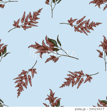 Seamless pattern with hand drawn colored astilbe 54424477