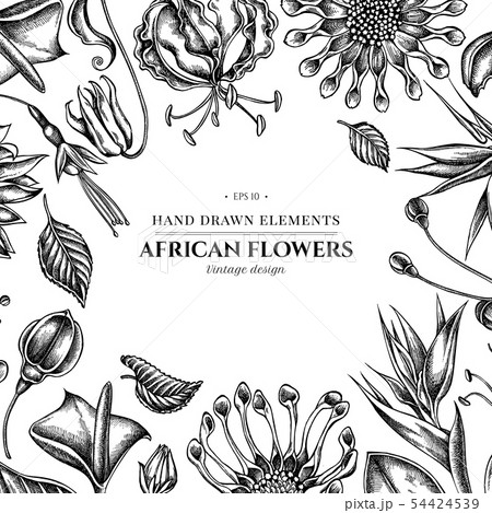 Floral design with black and white african daisies, fuchsia, gloriosa, king protea, anthurium 54424539