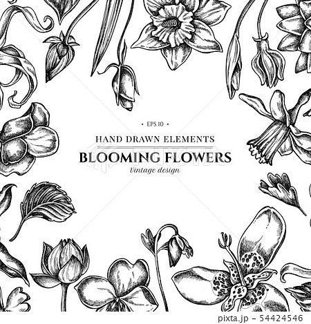 Floral design with black and white ylang-ylang, impatiens, daffodil, tigridia, lotus, aquilegia Floral design with black and white ylang-ylang, impatiens, daffodil, tigridia, lotus, aquilegia 54424546